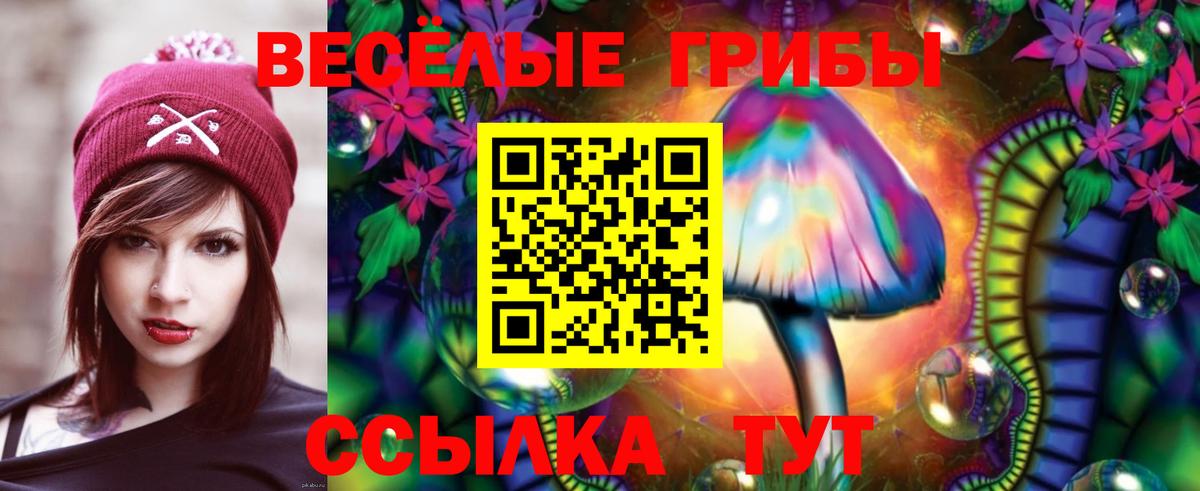Междуреченск  Псилоцибиновые грибы мицелий  Вход с VPN  Псилоцибиновые грибы Magic Shrooms 