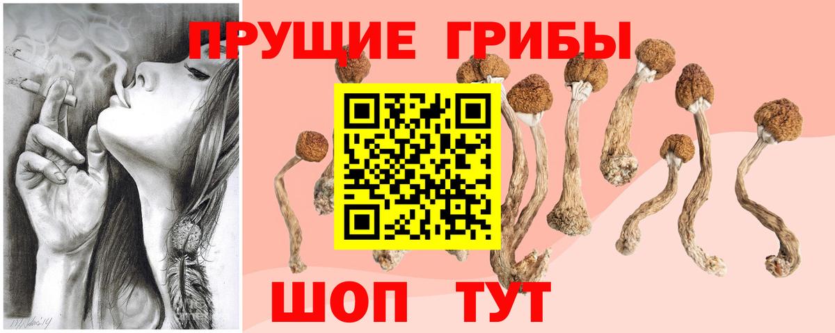 Галлюциногенные грибы мицелий Междуреченск